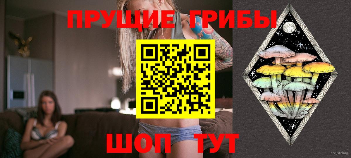 Псилоцибиновые грибы Psilocybe Владивосток